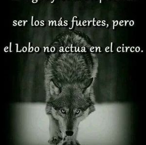 Meet your Posher, Leoncio